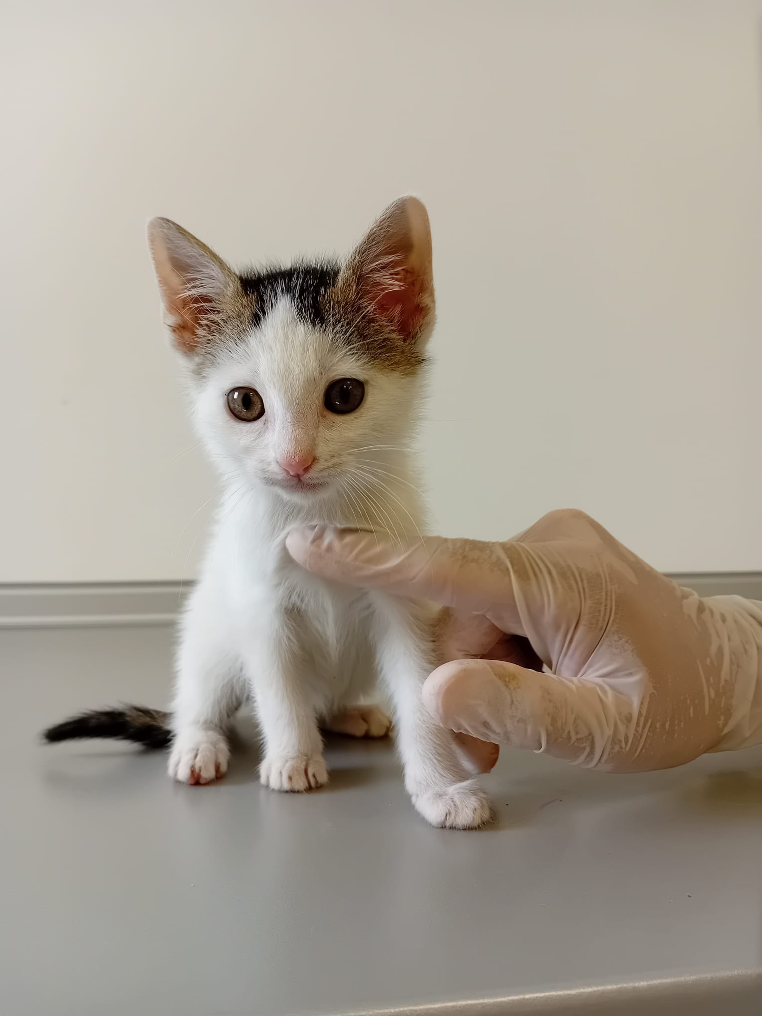 Foto de Triny